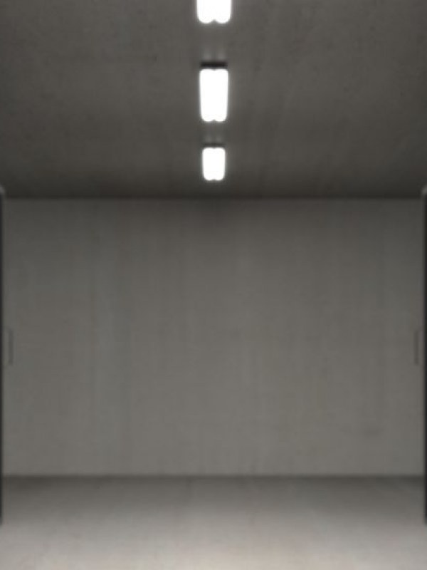 王建国 - 组织变革顾问